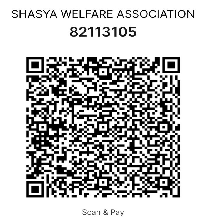 UPI QR code placeholder